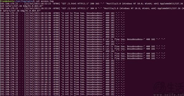 拒绝白嫖数据，亚马逊的ai版“app store”要来了