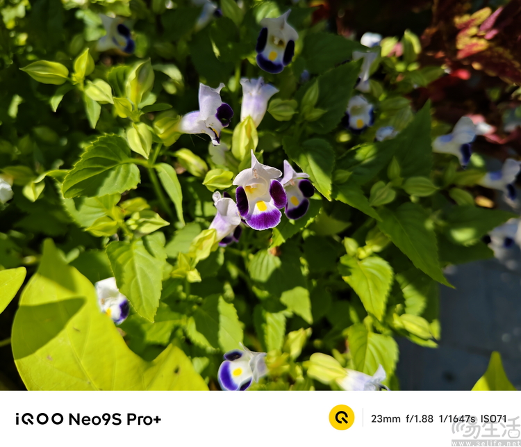 iqoo neo9s pro 评测：换芯升级，体验全面超预期