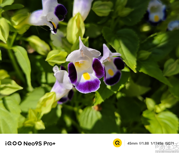 iqoo neo9s pro 评测：换芯升级，体验全面超预期