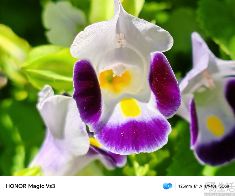 荣耀magic vs3评测：不止轻薄，重塑折叠次旗舰