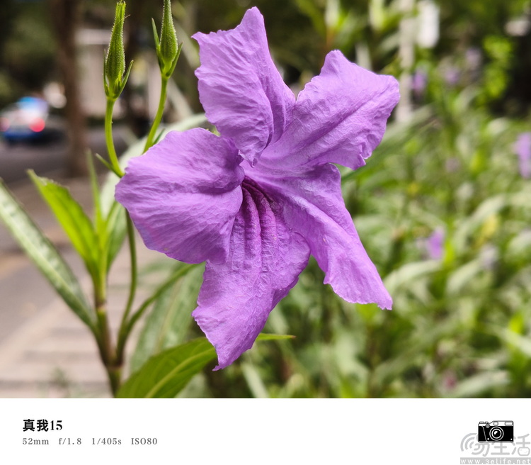 真我15首发评测：年轻人的娱乐平权神器