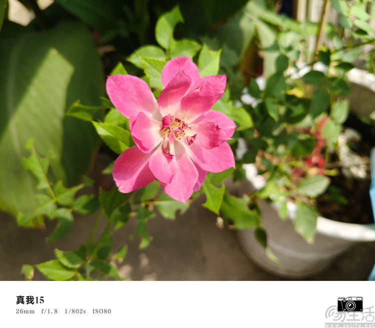 真我15首发评测：年轻人的娱乐平权神器