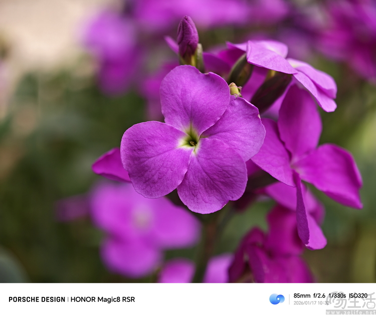 要“尊”还是要“强”？测过荣耀magic 8 rsr有了答案