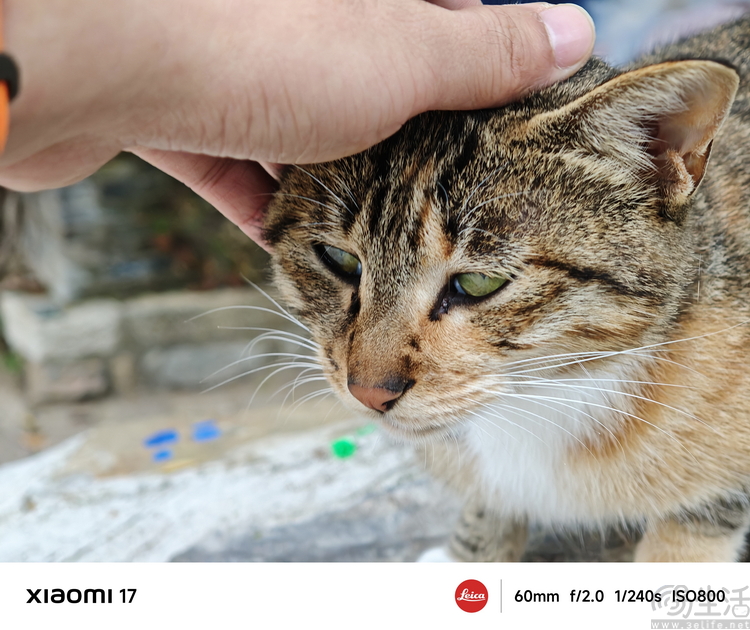 小米17首发评测：外观极致精致，配置均衡无短板