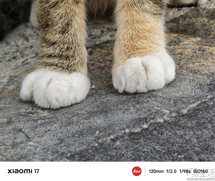 小米17首发评测：外观极致精致，配置均衡无短板