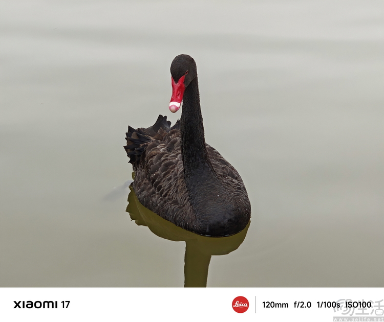 小米17首发评测：外观极致精致，配置均衡无短板