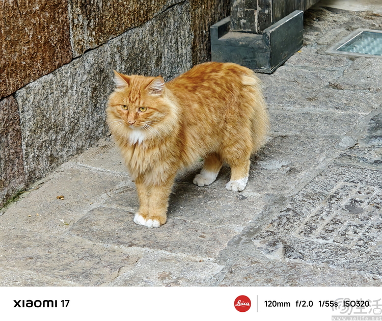 小米17首发评测：外观极致精致，配置均衡无短板