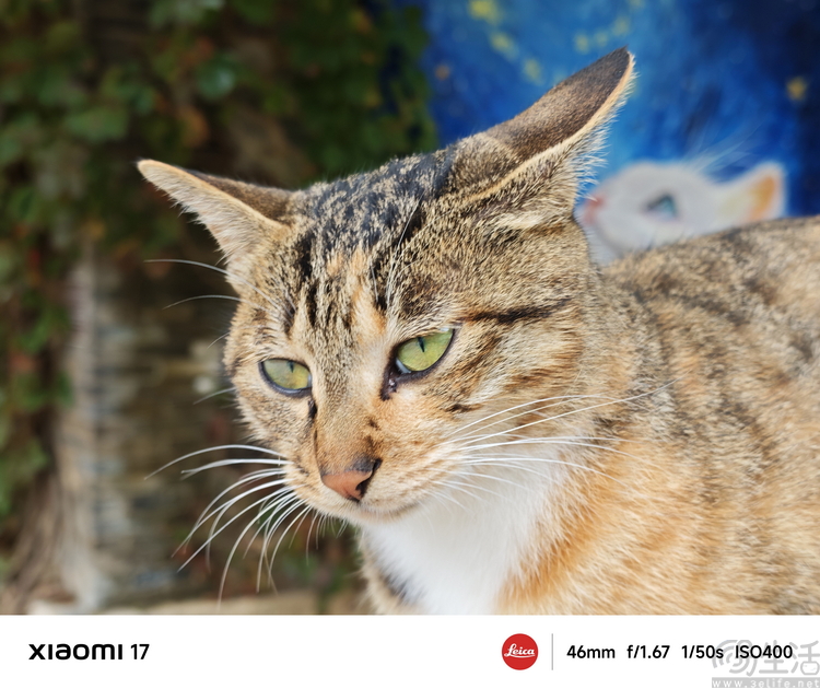 小米17首发评测：外观极致精致，配置均衡无短板