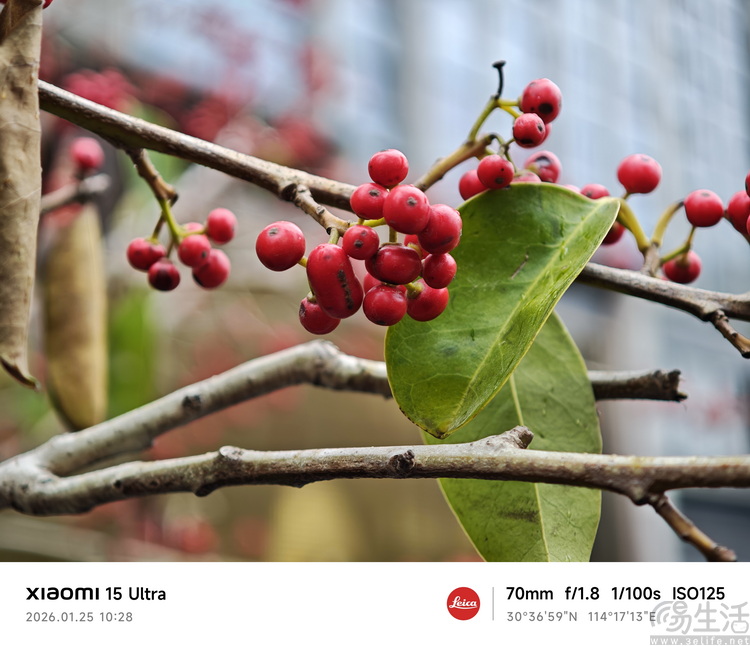 小米17 ultra专题测试：它的最大亮点就是“不跟风”